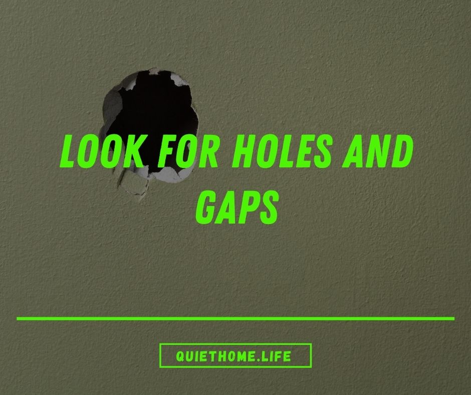 Seal Holes And Gaps
