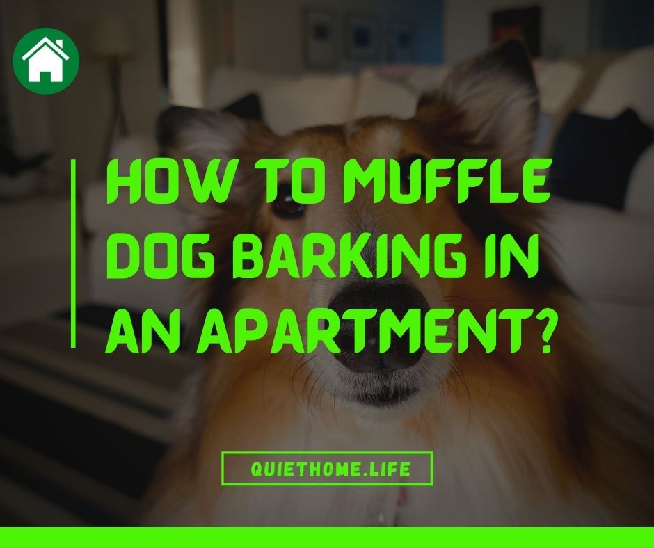 How to Muffle Dog Barking in an Apartment
