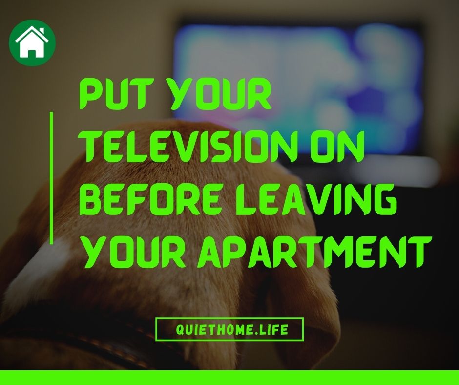 Put your television on before leaving your apartment