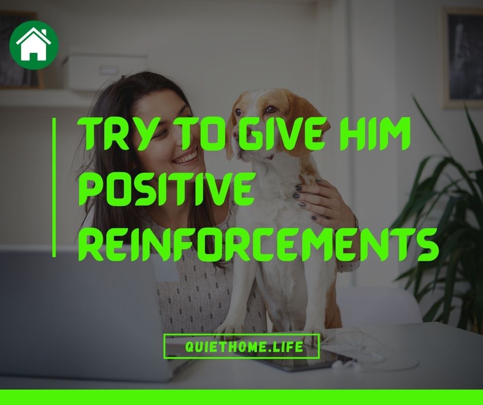 Try to give him positive reinforcements