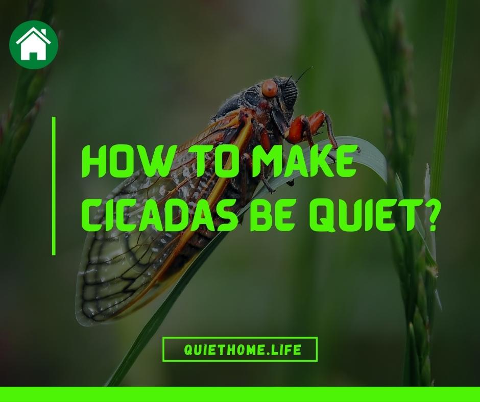 How to Get Rid of Cicadas Noise