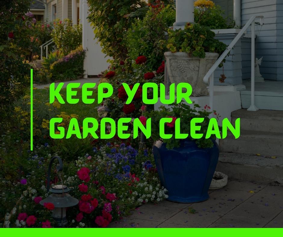 Keep your garden clean