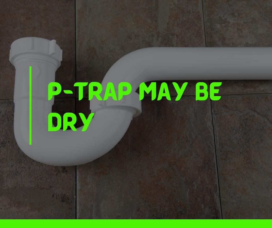 P-trap may be dry