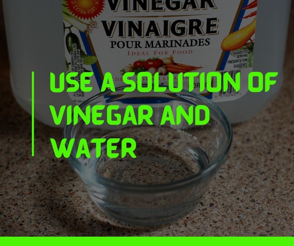 Use a solution of vinegar and water