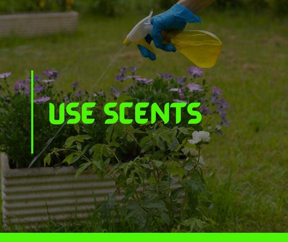 Use scents