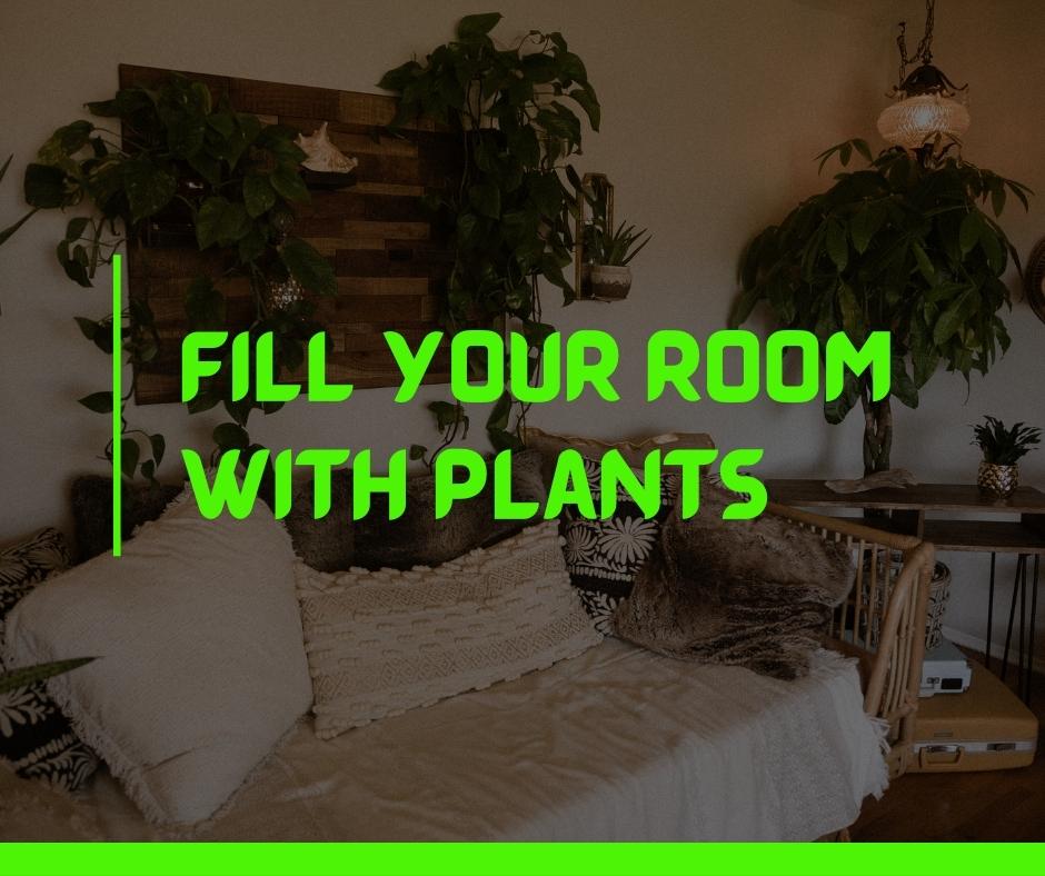 Fill your room with plants