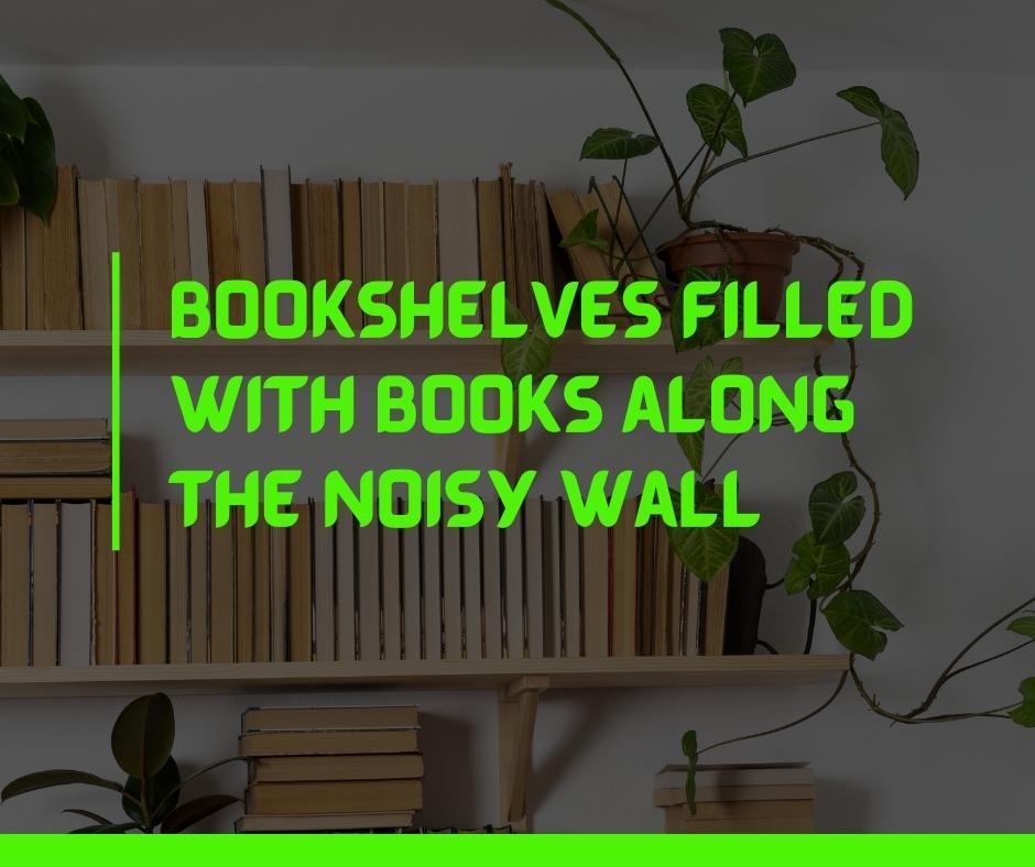 Bookshelves filled with books along the noisy wall