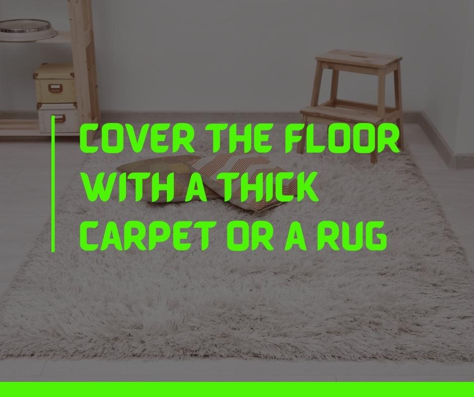 Cover the Floor with a Thick Carpet or a Rug