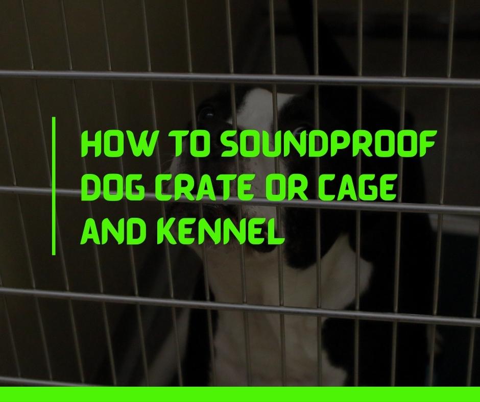 How to Soundproof Dog Crate or Cage and Kennel