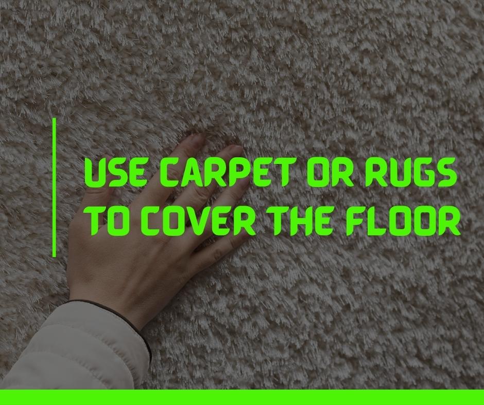 Use Carpet or Rugs to Cover the Floor