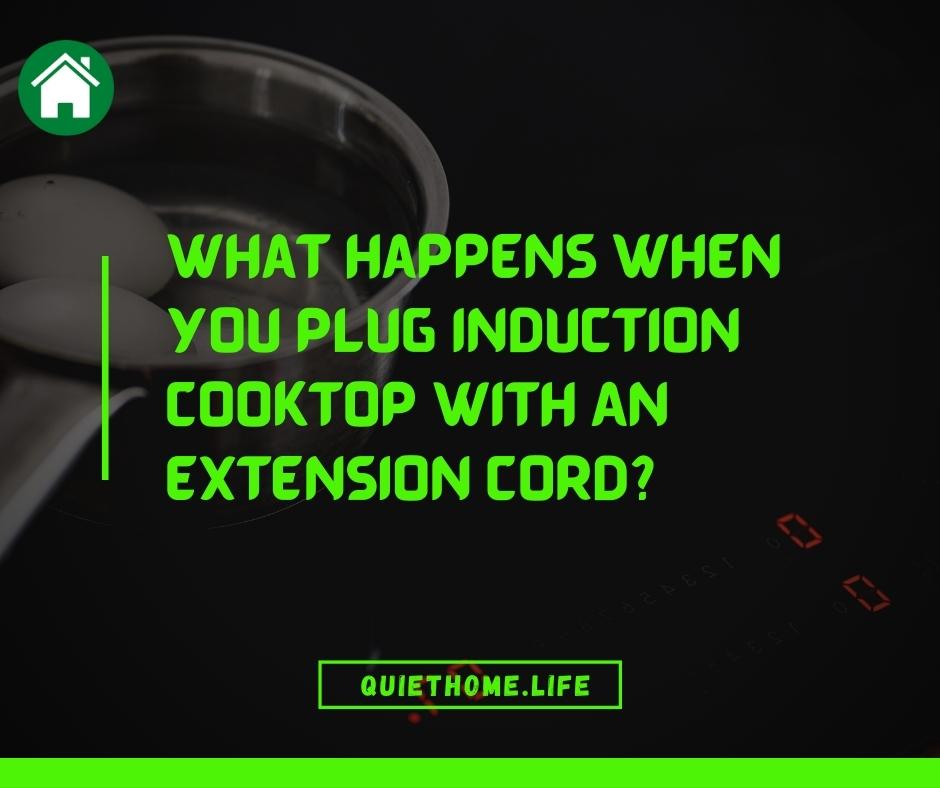 What Happens When You Plug Induction Cooktop With An Extension Cord