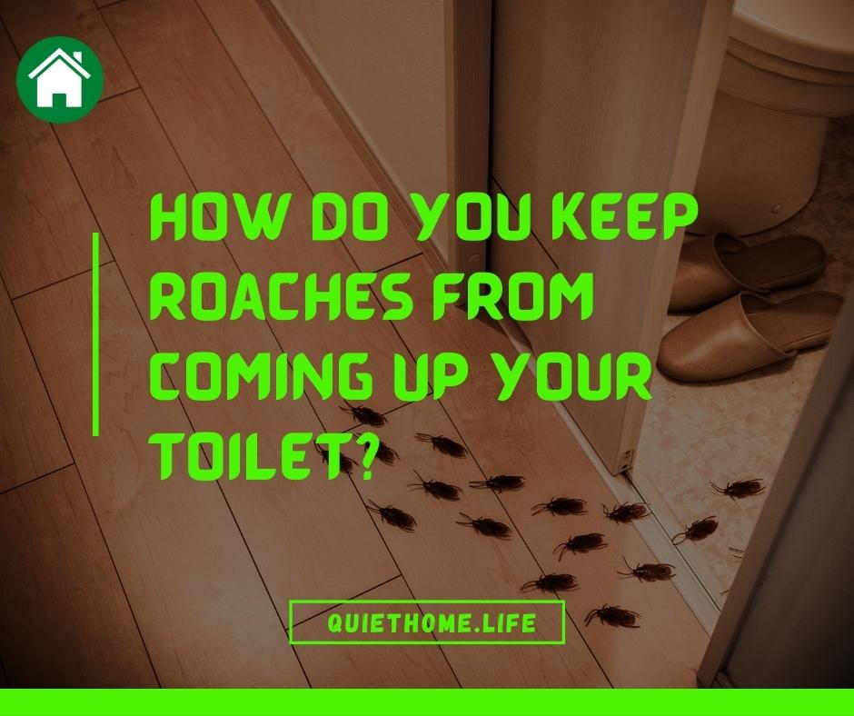 How Do You Keep Roaches From Coming Up Your Toilet