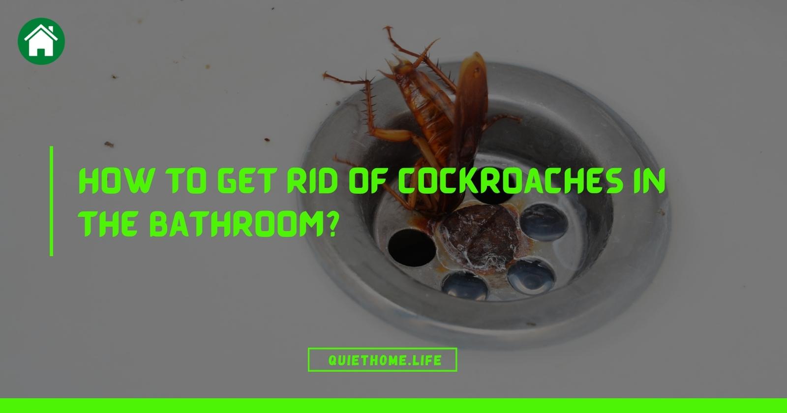 How To Get Rid Of Cockroaches In The Bathroom