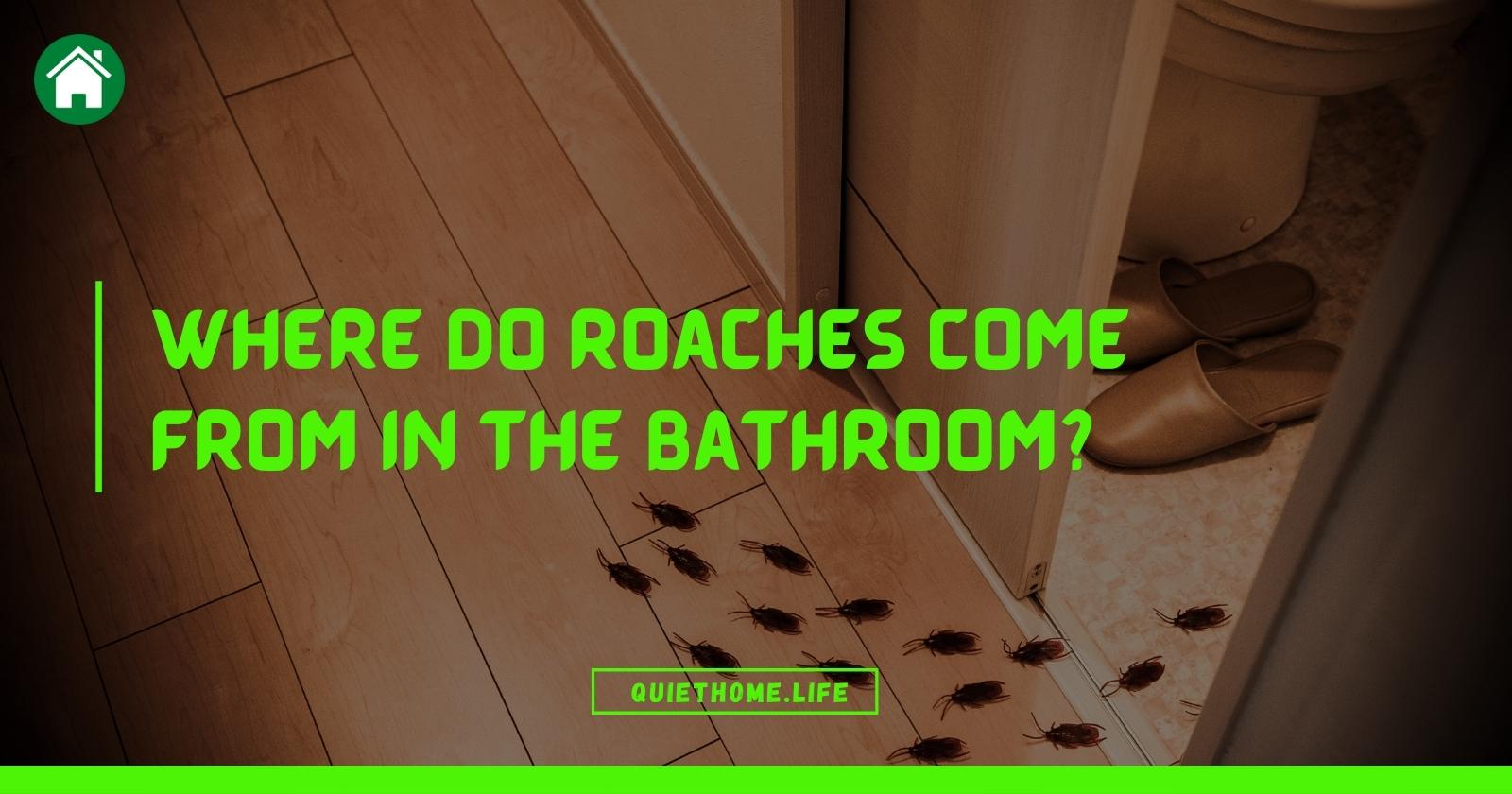Where Do Roaches Come from in The Bathroom