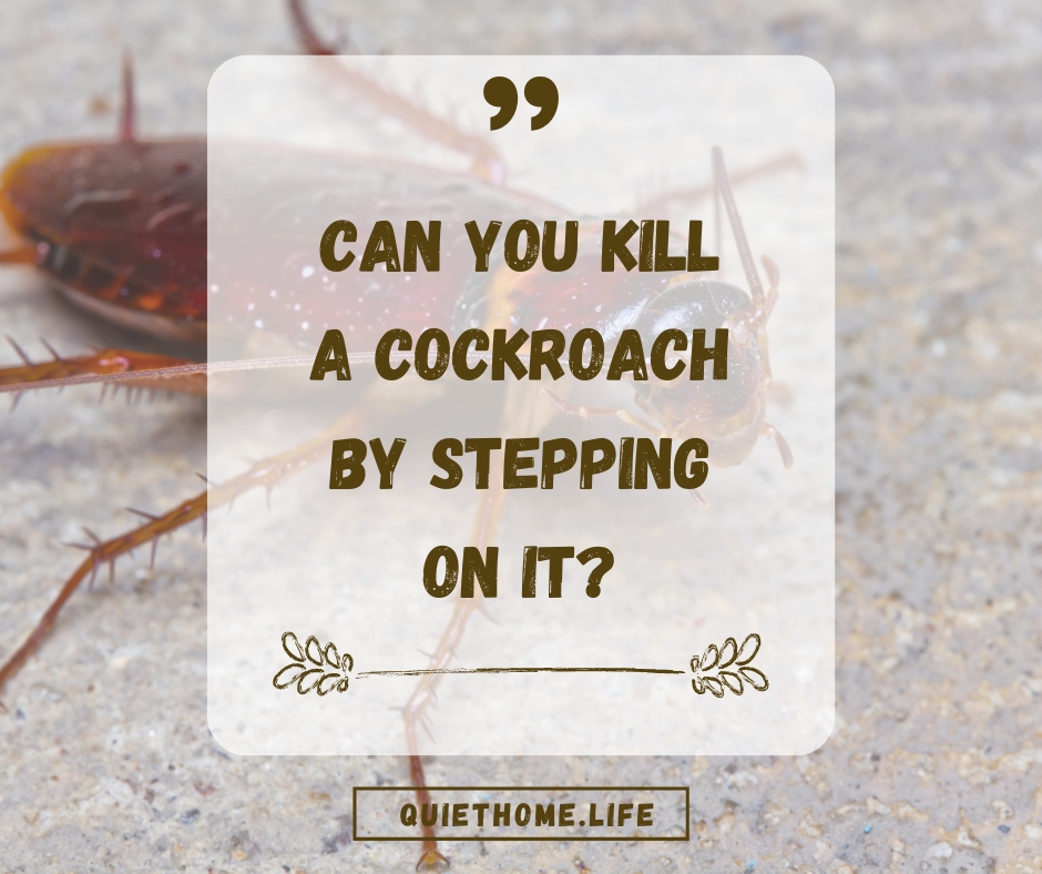 Can You Kill a Cockroach By Stepping On It