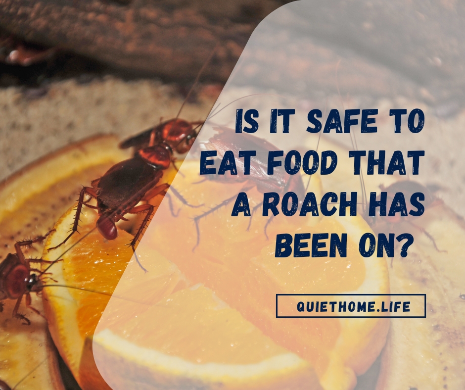 Is It Safe To Eat Food That A Roach Has Been On