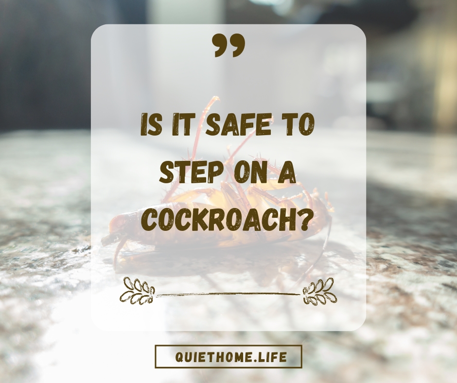 Is it Safe to Step on a Cockroach