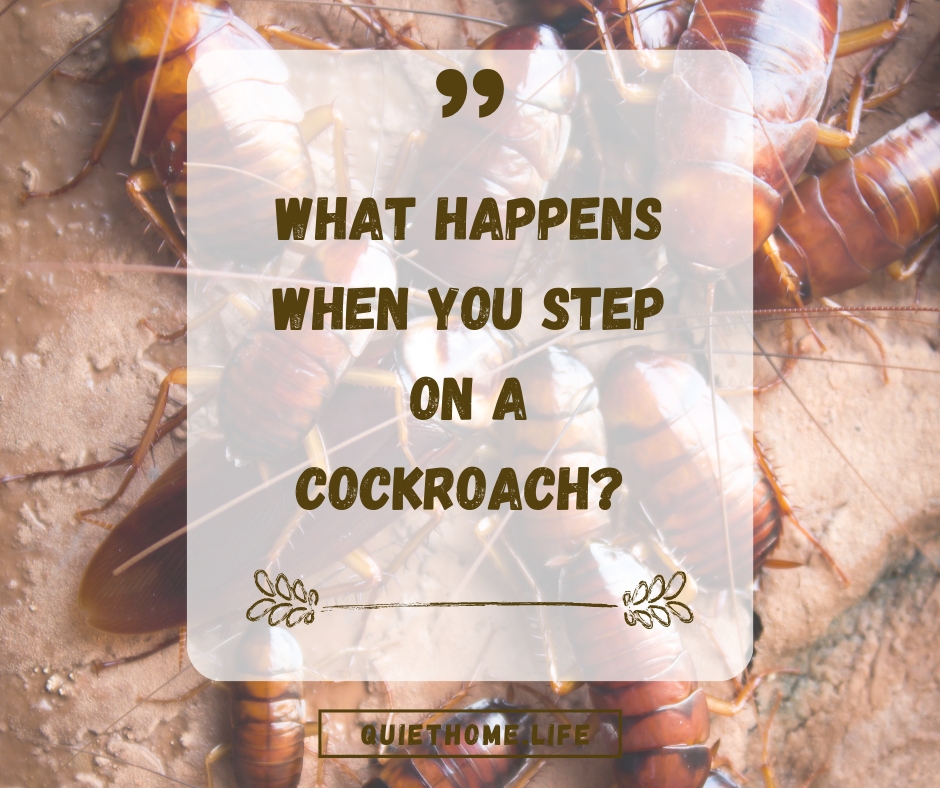 What Happens When You Step on a Cockroach