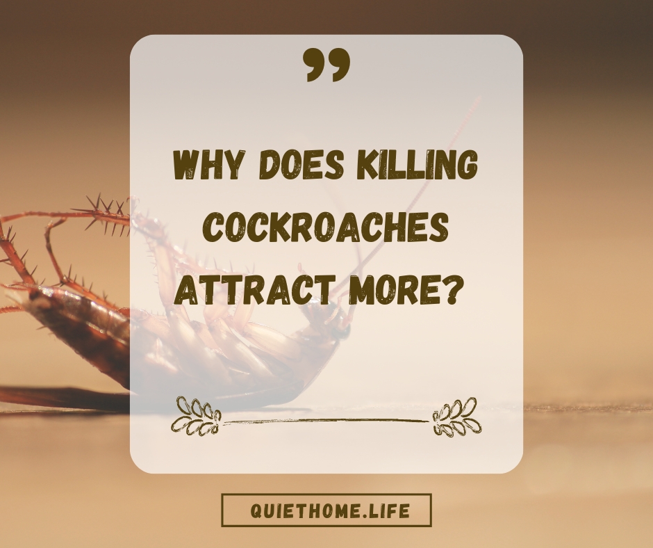Why Does Killing Cockroaches Attract More