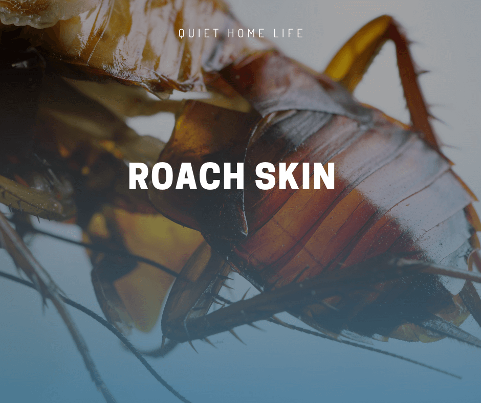 Roach Skin
