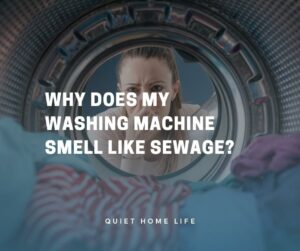 Why Does My Washing Machine Smell Like Sewage